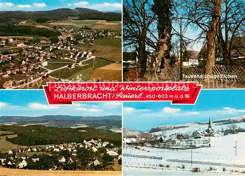 AK / Ansichtskarte Halberbracht Panorama Luftbild 1000jaehrige Eichen Winterlandschaft Halberbracht