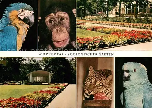 AK / Ansichtskarte Wuppertal Zoologischer Garten Parkanlagen Wuppertal