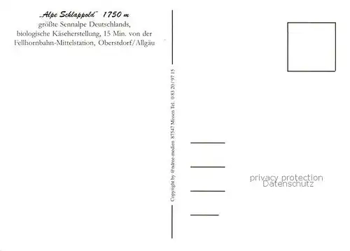 AK / Ansichtskarte Oberstdorf Alpe Schlappold Terrasse Kaeserei Kaeselager Panorama Oberstdorf