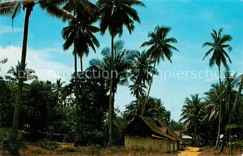 AK / Ansichtskarte Singapore A Malay Kampong in the rural area Singapore