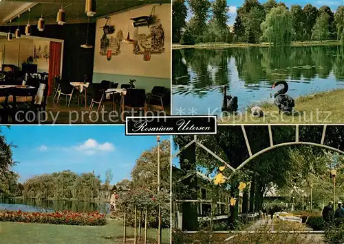 AK / Ansichtskarte Uetersen Rosarium Rosen Cafe Uetersen