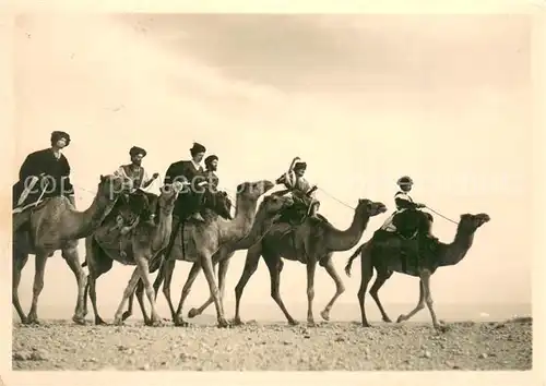 AK / Ansichtskarte Maroc_Marokko No. 529 Meharistes Collection Le Maroc Artistique Kamelkavallerie Maroc Marokko
