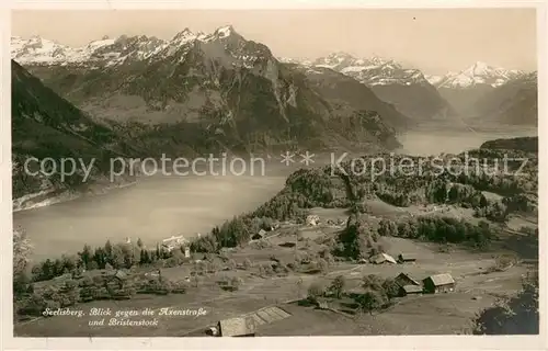 AK / Ansichtskarte Seelisberg_UR Fliegeraufnahme mit Axenstrasse und Bristenstock Seelisberg UR