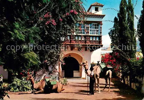 AK / Ansichtskarte Puerto_de_la_Cruz Motivo tipico Puerto_de_la_Cruz