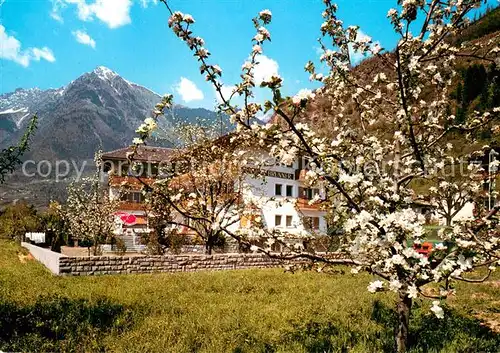 AK / Ansichtskarte Meran_Merano Pension Brunner Meran Merano