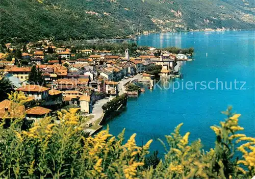 AK / Ansichtskarte Cannobio_Lago_Maggiore_TI Fliegeraufnahme 