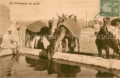 AK / Ansichtskarte Chameaux_Senegal au puits Chameaux Senegal