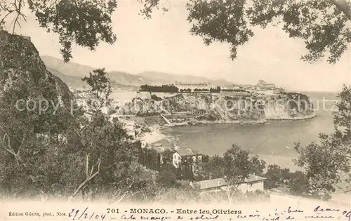 AK / Ansichtskarte Monaco Entre les Oliviers Monaco
