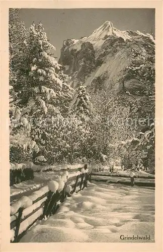 AK / Ansichtskarte Grindelwald Winteridyll Grindelwald