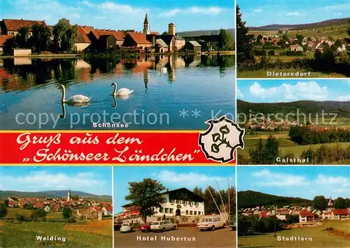 AK / Ansichtskarte Schoensee Ansicht ueber die Ascha Schwaene mit Umgebung Hotel Hubertus Schoensee