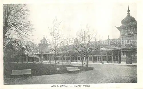AK / Ansichtskarte Rotterdam Dieren Paleis Rotterdam