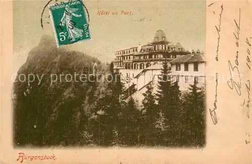 AK / Ansichtskarte Buergenstock Hotel du Park Buergenstock