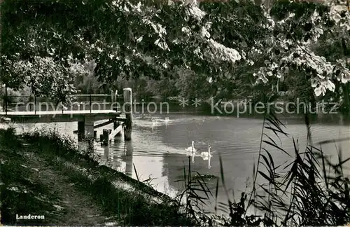AK / Ansichtskarte Landeron_Le_NE Seepartie Schwaene 