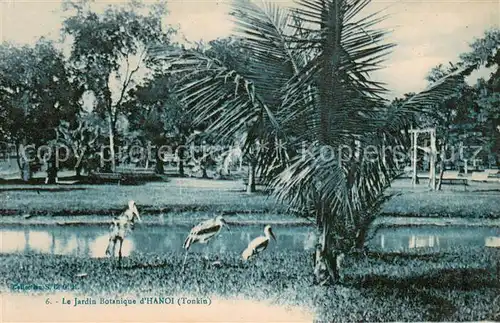 AK / Ansichtskarte Hanoi_Vietnam Le Jardin Botanique 