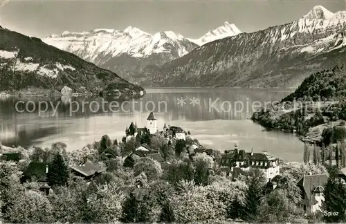 AK / Ansichtskarte Spiez_Thunersee_BE Panorama Spiez_Thunersee_BE