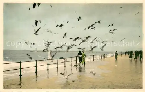 AK / Ansichtskarte Oostende_Ostende Zeemeeuwen op de zeedijk bij storm 