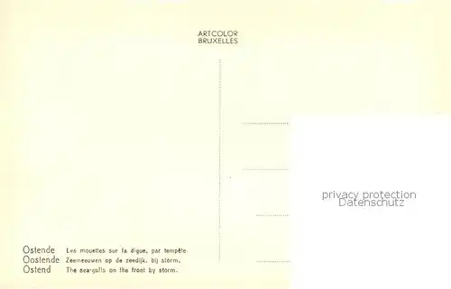 AK / Ansichtskarte Oostende_Ostende Zeemeeuwen op de zeedijk bij storm 