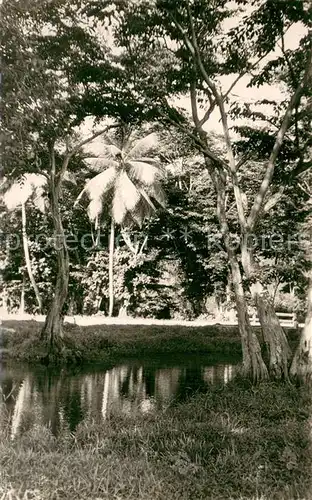 AK / Ansichtskarte Guadeloupe Gosier Section Ravine Paysage Tropical Guadeloupe