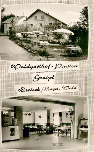 AK / Ansichtskarte Dreieck_Regen Waldgasthof Pension Greipl Aussen  u. Innenansicht Dreieck Regen