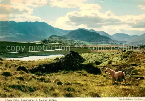AK / Ansichtskarte Connemara Panorama Maam Valley Pferde Connemara