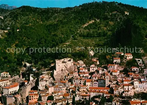 AK / Ansichtskarte Roquebrune_06_Alpes Maritimes Vieux village et le chateau vue aerienne 