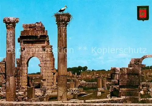 AK / Ansichtskarte Volubilis_Maroc Ruinas del Templo 