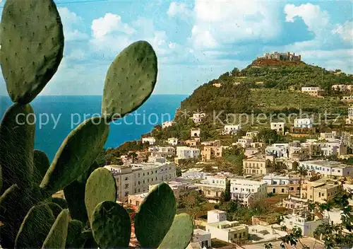 AK / Ansichtskarte Capri_Italia Panorama con il Castellaccio 
