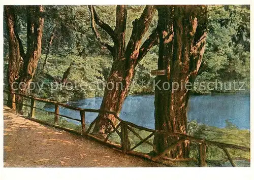 AK / Ansichtskarte Blaubeuren Partie am Blautopf Blaubeuren