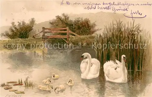 AK / Ansichtskarte Schwan F.W.Hoyes Serie 1281 Schwaene  