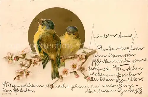 AK / Ansichtskarte Voegel L.T. serie 442 Vogel auf Ast 