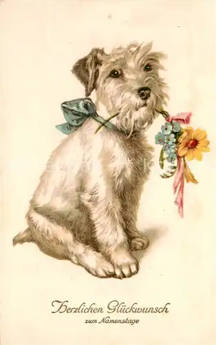 AK / Ansichtskarte Glueckwunsch Zum Namentag PP Pittius 