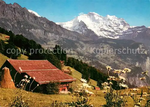 AK / Ansichtskarte Wengen__BE Panorama mit Jungfrau 