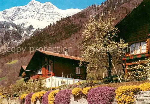 AK / Ansichtskarte Oberried_Brienzersee Panorama Oberried Brienzersee