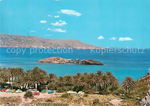 AK / Ansichtskarte Sitia_Crete_Greece Palmen Wald Panorama 