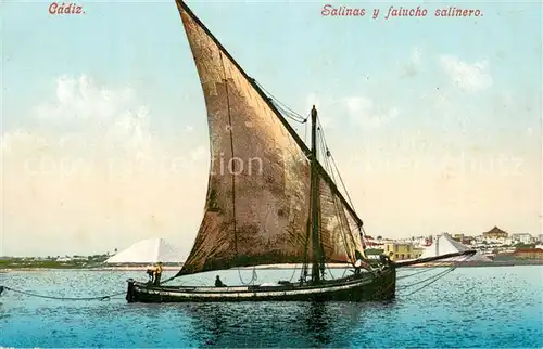 AK / Ansichtskarte Cadiz_Andalucia_ES Salinas y falucho salinero 