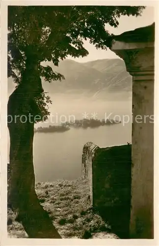 AK / Ansichtskarte Ronco_sopra_Ascona et le Isole Ronco_sopra_Ascona