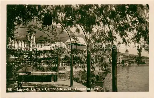 AK / Ansichtskarte Gardone_Riviera_di_Garda_IT Glicine in fiore 