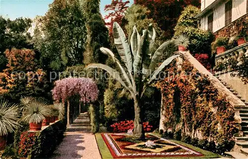 AK / Ansichtskarte Cadenabbia_Lago_di_Como Giardino della Villa Carlotta Cadenabbia_Lago_di_Como