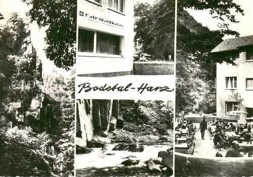 AK / Ansichtskarte Bodetal_Bodethal_Harz Cafe Waldkater Natur Felsen 