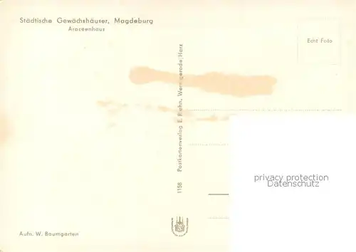 AK / Ansichtskarte Magdeburg Staedt Gewaechshaeuser Araceenhaus Magdeburg