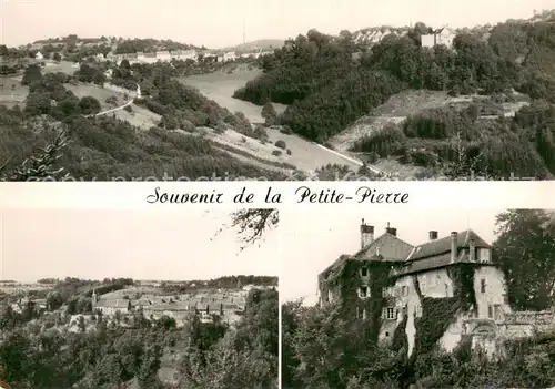 AK / Ansichtskarte La Petite Pierre_67_Alsace Panorama Schloss 