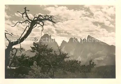 AK / Ansichtskarte Dolomiti__Dolomiten_IT Gruppo del Sassolungo 