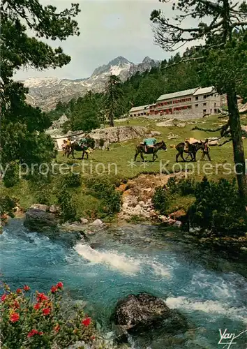 AK / Ansichtskarte Cauterets_65_Hautes Pyrenees Chalet Hotel du Marcadau 