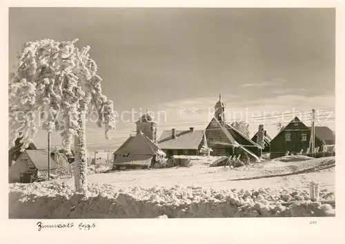 AK / Ansichtskarte Zinnwald_Cinovec_Boehmisch_CZ Winteridyll 