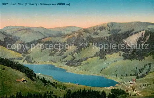 AK / Ansichtskarte Lac_Noir_Schwarzsee_FR Panorama Lac_Noir_Schwarzsee_FR