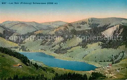 AK / Ansichtskarte Lac_Noir_Schwarzsee_FR Panorama Lac_Noir_Schwarzsee_FR