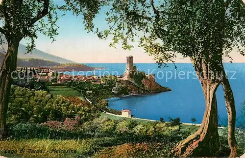 AK / Ansichtskarte Malcesine_Lago_di_Garda Gesamtansicht m. Burg Malcesine_Lago_di_Garda
