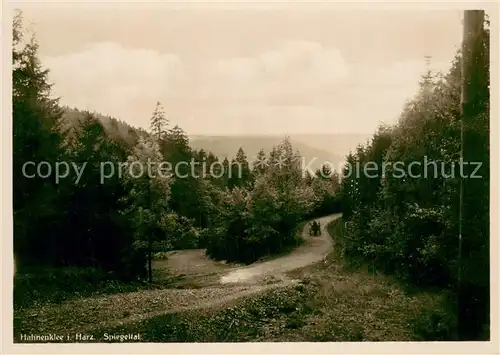 AK / Ansichtskarte Hahnenklee Bockswiese_Harz Spiegeltal Waldweg Hahnenklee Bockswiese