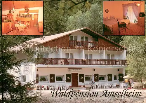 AK / Ansichtskarte Katzhuette_Thueringen Waldpension Amselheim Pension Ausflugsgaststaette 