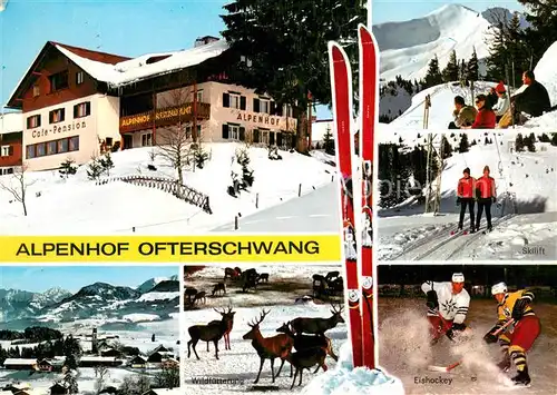 AK / Ansichtskarte Ofterschwang Cafe Hotel Pension Alpenhof Panorama Skilift Wildfuetterung Eishockey Ofterschwang